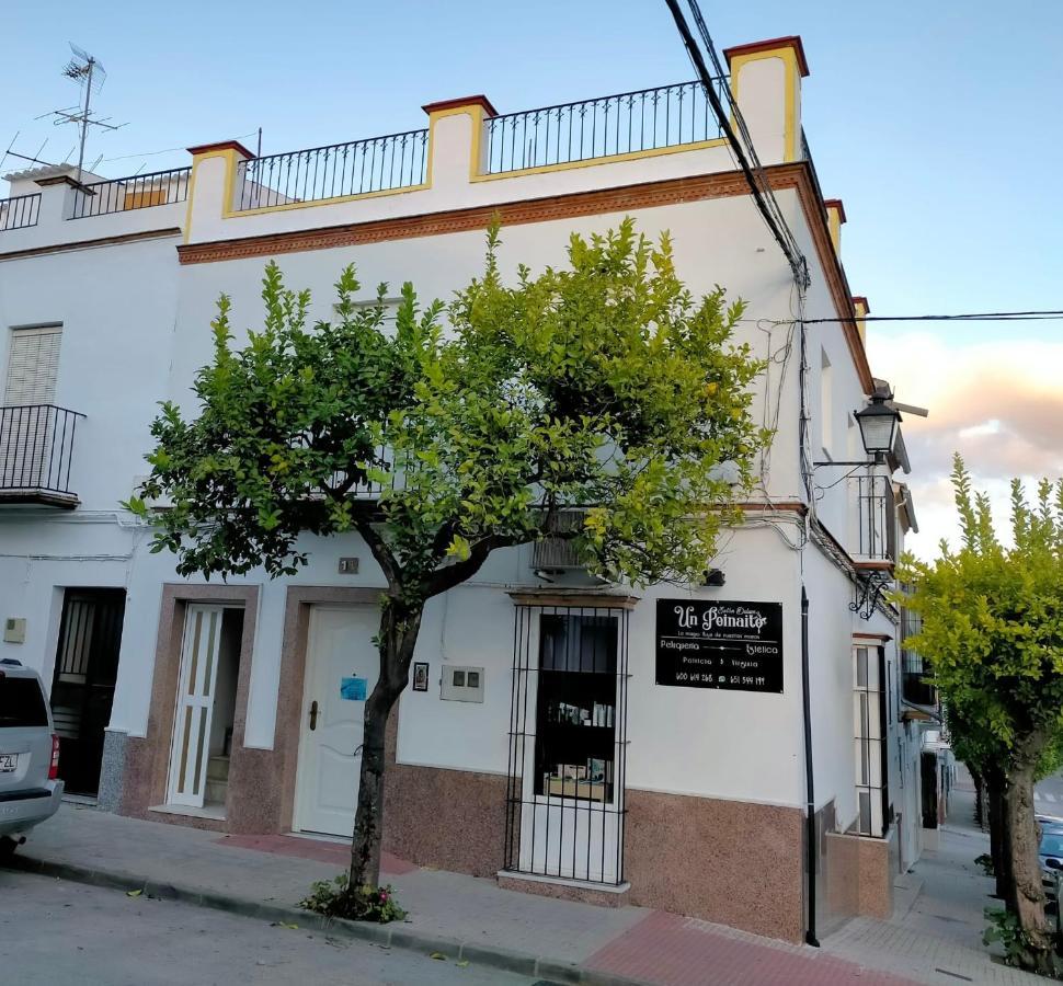 Jacaranda Villa Prado Del Rey Esterno foto
